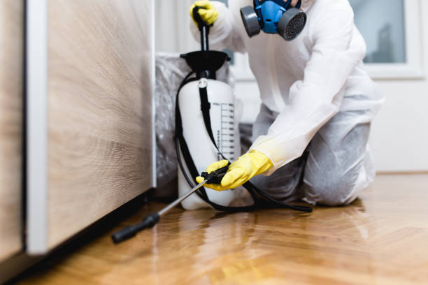 Best Cockroach Control Services  in Glade Spring, VA