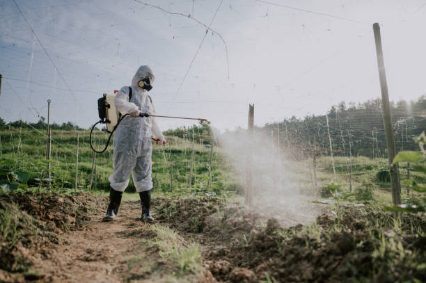 Best Wasp Removal Services  in Glade Spring, VA