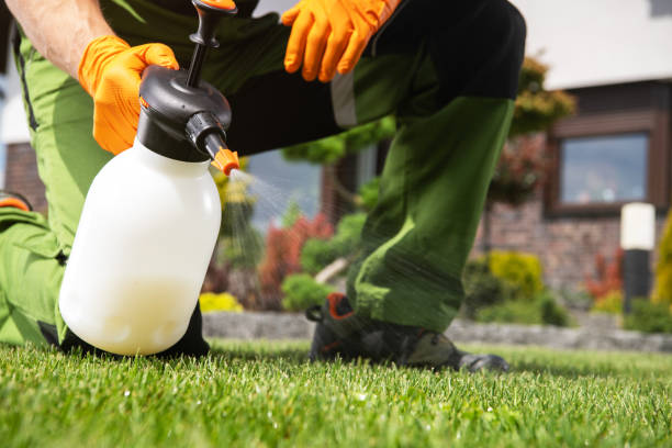 Best Flea Control Services  in Glade Spring, VA