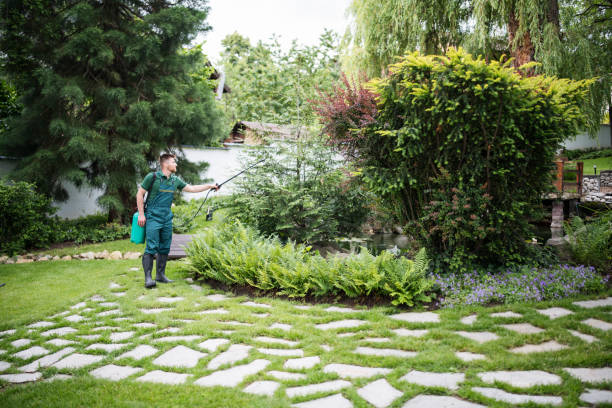 Best Pest Control Near Me  in Glade Spring, VA
