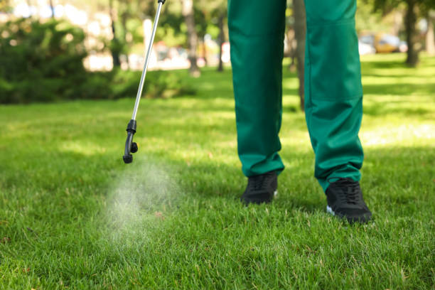 Best Pest Control Cost  in Glade Spring, VA