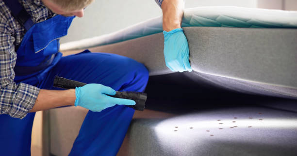 Best Cockroach Control Services  in Glade Spring, VA