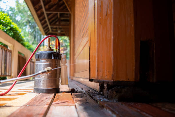 Best Affordable Pest Control Services  in Glade Spring, VA